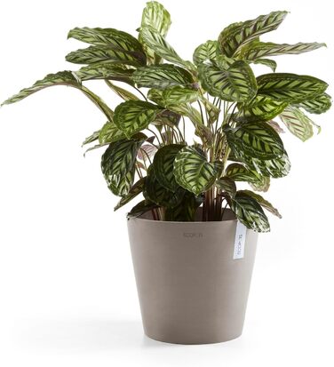 Квітчар Ecopots Taupe: великий горщик для квітів, 40x40x34.8 см
