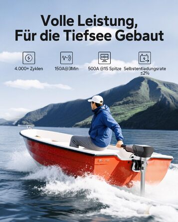 LiFePO4 акумулятор LiTime 12V 100Ah з Bluetooth для кемпінгу, житлових будинків та електромоторів човнів