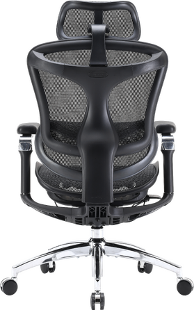 Крісло офісне Sihoo DORO C300 Pro Mesh Black