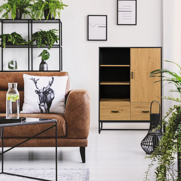 Шафа AMIO H 100x40x140 см, 2 висувні ящики, 1 дверцята, чорний/дуб, hjh LIVING