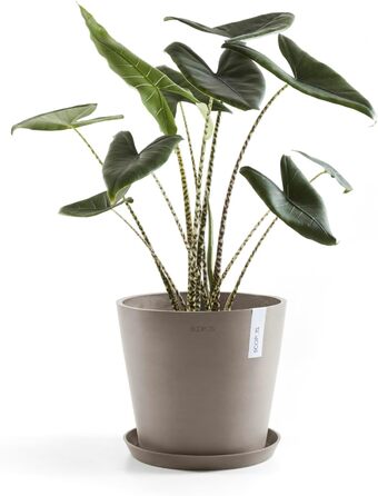 Квітчар Ecopots Taupe: великий горщик для квітів, 40x40x34.8 см