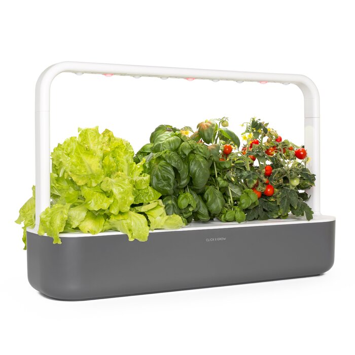 Click and Grow Indoor Garten: Розумний сад для вирощування зелені вдома з LED, 9 капсул (Темно-сірий)