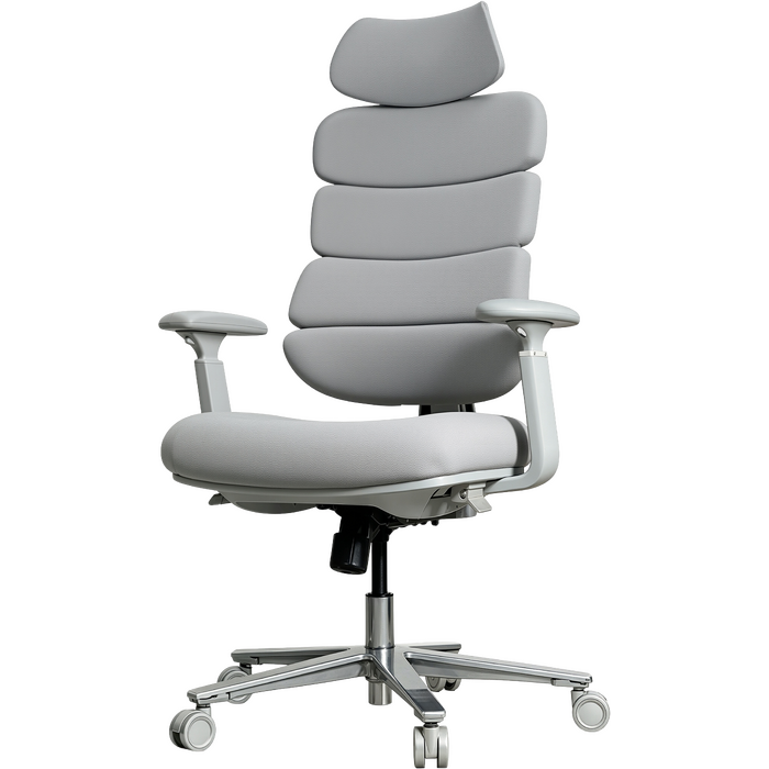 Крісло комп’ютерне офісне ергономічне OfficePro FlexCore OC120G