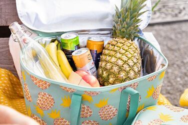 Термосумка-холодильник Reisenthel Coolerbag для продуктів, ізотермічна сумка для збереження холоду