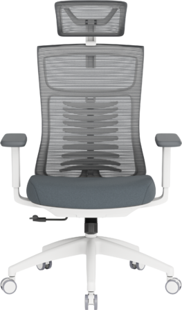 Крісло офісне OfficePro Balance OC550-W-DG-DG